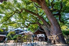 Tourist destination images of Ushi-torii Shrine(1)