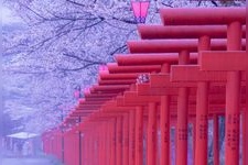 Tourist destination images of Marutaka Inari Shrine(2)