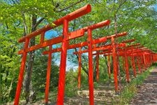 Tourist destination images of Marutaka Inari Shrine(1)