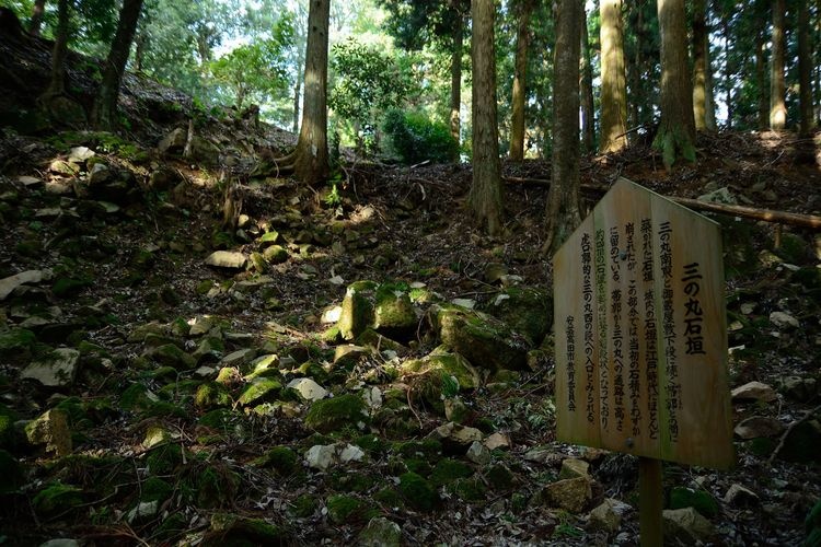 Koriyama Castle Main Keep Ruins