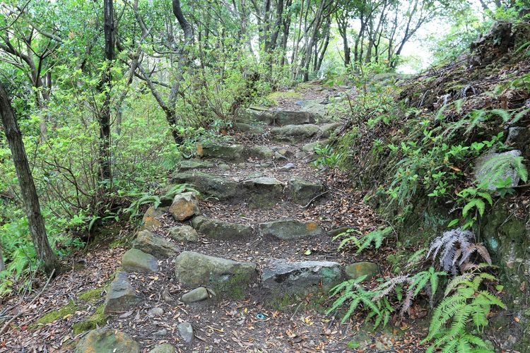 Hikuta Castle Ruins