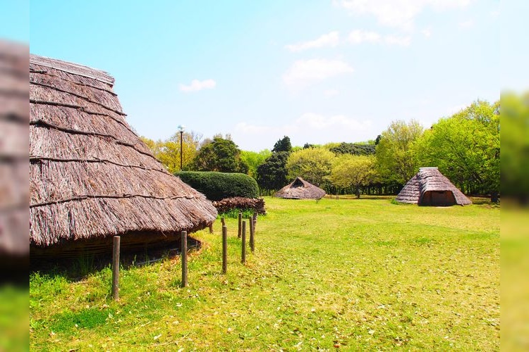 Kazori Kaizuka Shell Mounds