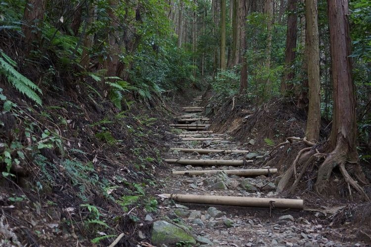 Takatori Castle Ruins