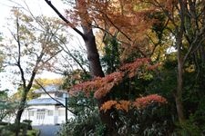 Tourist destination images of Jingu Nogyo Kan (Imperial Shrine Agricultural Museum)(1)