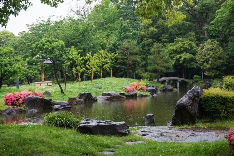 Parco Fujita-tei (Antico Giardino della Residenza Fujita) 3