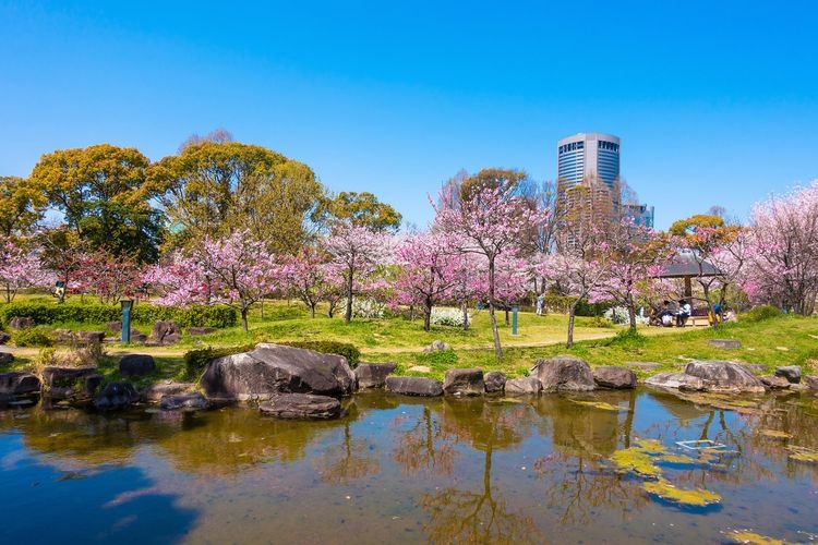 Fujita Tei Ato Park (Former Fujita Residence Garden)