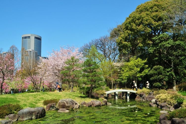 藤田邸跡公園（旧藤田邸庭園）の観光地画像(2)