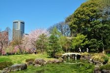 藤田邸跡公園（旧藤田邸庭園）の観光地画像(2)