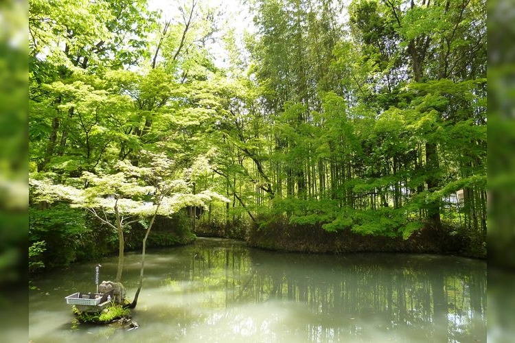 Zousan Jinja Shrine