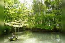 Tourist destination images of Zousan Jinja Shrine(1)