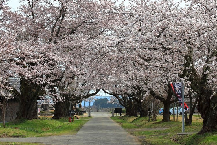 松ヶ岡開墾場