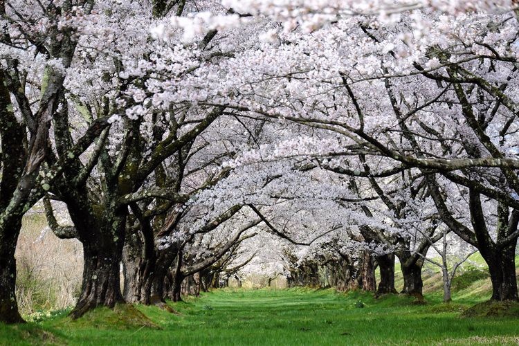 Shizukuishigawa Park