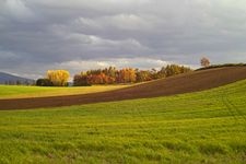 Tourist destination images of Farm Tomita(5)