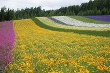 Tourist destination images of Saikanooka Sasaki Farm(1)