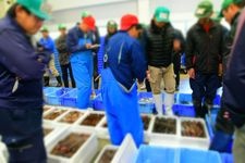 Tourist destination images of Ishinomaki Fish Market(2)