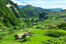 Tourist destination images of Yotsumura Rice Terraces(1)