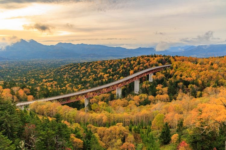 Tourist destination images of Matsumi Bridge(4)