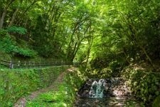 Tourist destination images of Yoro Valley(1)