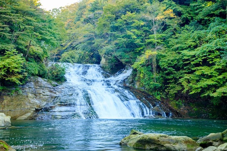 Tourist destination images of Yoro Valley(2)