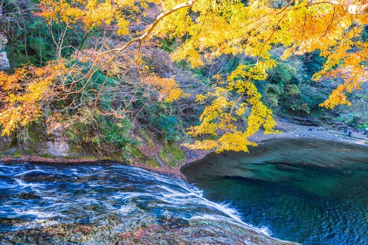 Tourist destination images of Yoro Valley(3)