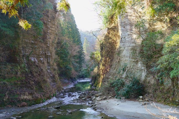 Tourist destination images of Yoro Valley(4)
