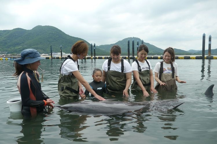 Nihon Dolphin Center