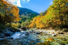 Tourist destination images of Atekyo Valley(4)