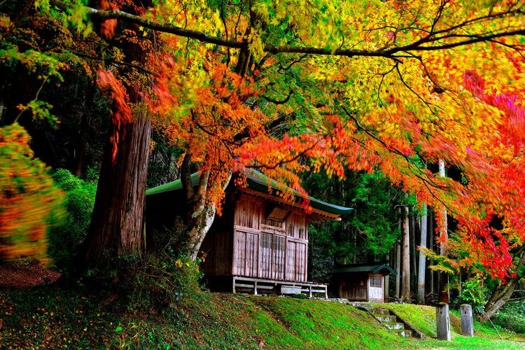 Unganji Temple