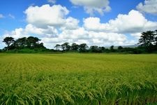 Tourist destination images of Joshigata(1)