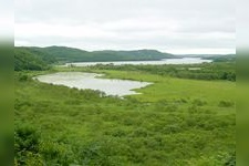 釧路湿原（二本松展望地）の観光地画像(1)