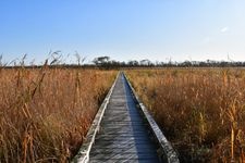 Tourist destination images of Onnenai Boardwalk(2)