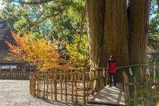 Tourist destination images of Togakushi Chusha Shrine(5)