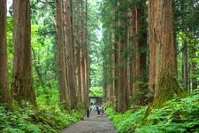 Tourist destination images of Togakushi Shrine Okusha(4)