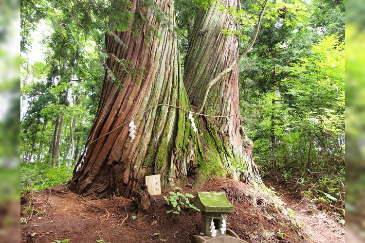 Togakushi Shrine Hinomiko-sha