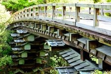 Tourist destination images of Saruhashi Bridge(1)