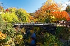 Tourist destination images of Saruhashi Bridge(4)