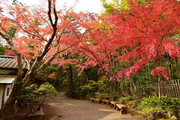 Mishima City Park Rakujuen