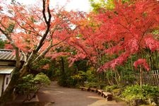 Tourist destination images of Mishima City Park Rakujuen(1)