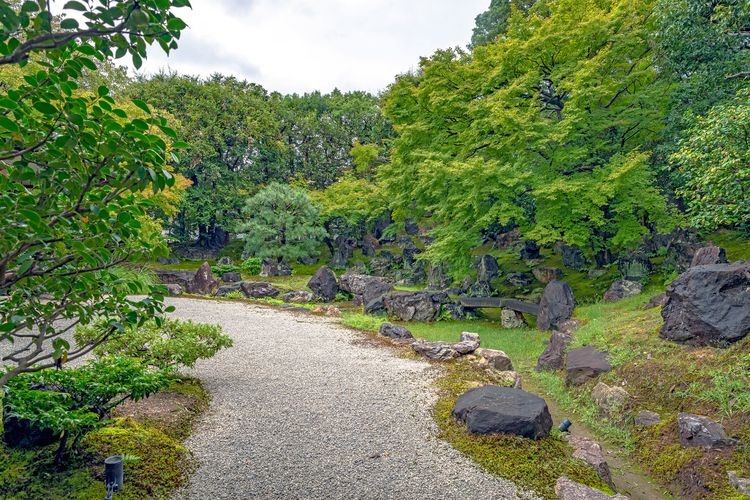 圓徳院の観光地画像(4)