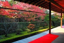 Tourist destination images of Myoshin-ji Keishun-in(3)