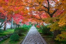 Tourist destination images of Sōon-an Temple (Ikkyū-ji Temple)(4)