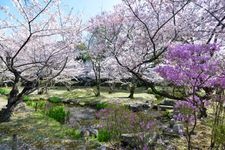 Tourist destination images of Shoseien Garden(3)