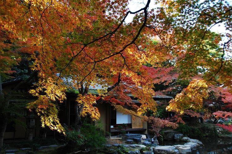 Hakusasonso Hashimoto Kansetsu Memorial Museum