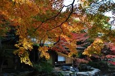 Tourist destination images of Hakusasonso Hashimoto Kansetsu Memorial Museum(1)