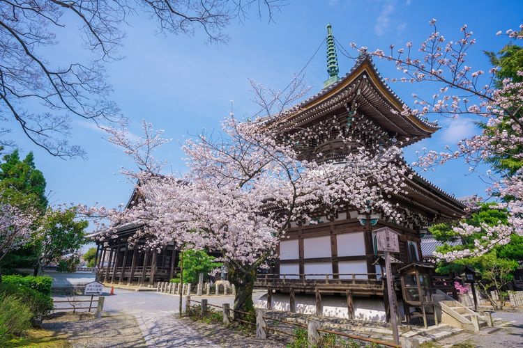 Honpoji Temple