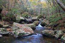 Tourist destination images of Rurikei Gorge(3)