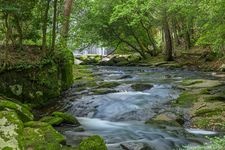 Tourist destination images of Rurikei Gorge(4)