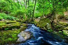 Tourist destination images of Rurikei Gorge(5)