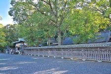 鬪雞神社の観光地画像(4)