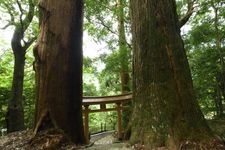 Tourist destination images of Tsugizakura Oji(3)